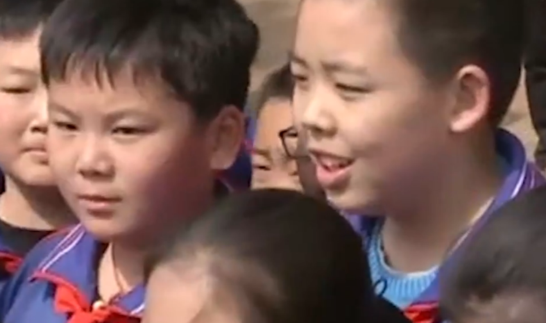 传习录丨种下的是树苗，也是祖国的美好未来