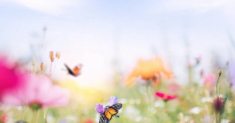 联播+｜“喻”见世界文明的百花园