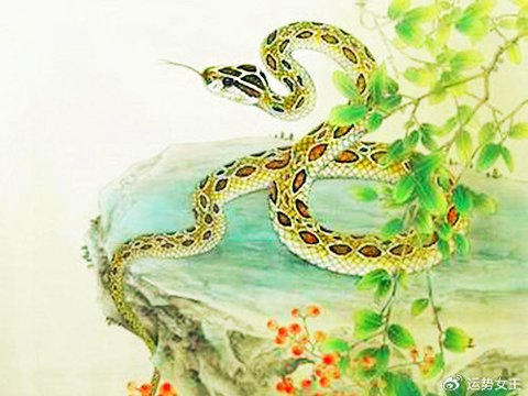 才华出色，马年烦恼少的四个生肖