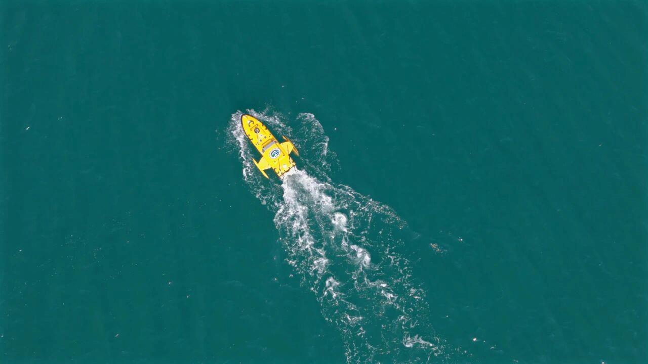 视频丨无人潜航器、磁探机器狗组团出击 实训现场画面公布