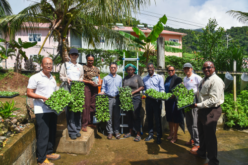 驻多米尼克大使储茂明走访皮埃尔·查尔斯中学农业课园地