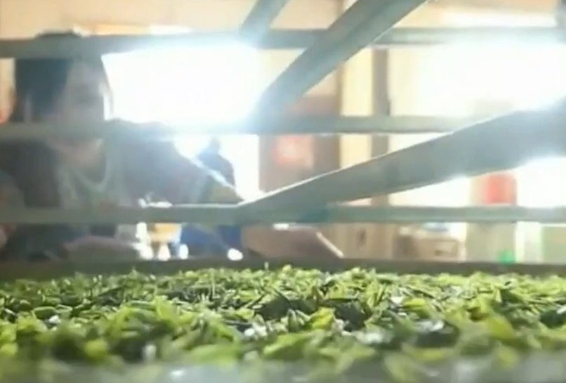 拾光纪·心系共同富裕,习近平换三种交通工具深入山村