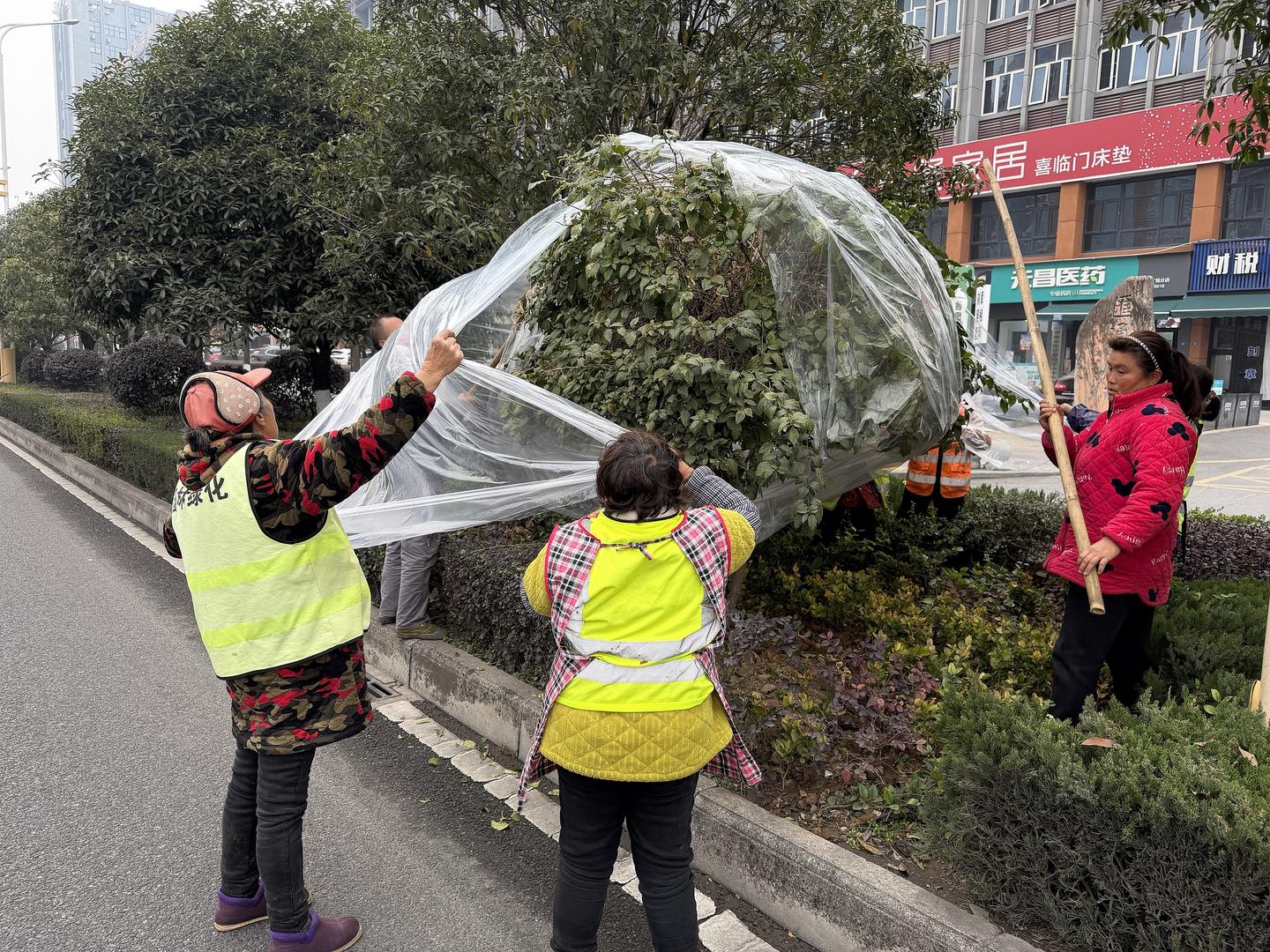 寒潮持续，中东部雨雪冰冻灾害来袭，郑州、徐州等多地停课
