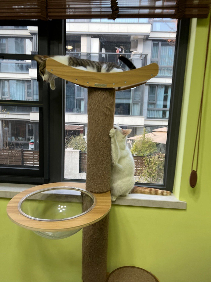 雅雅拒与二宝玩耍引宝宝委屈