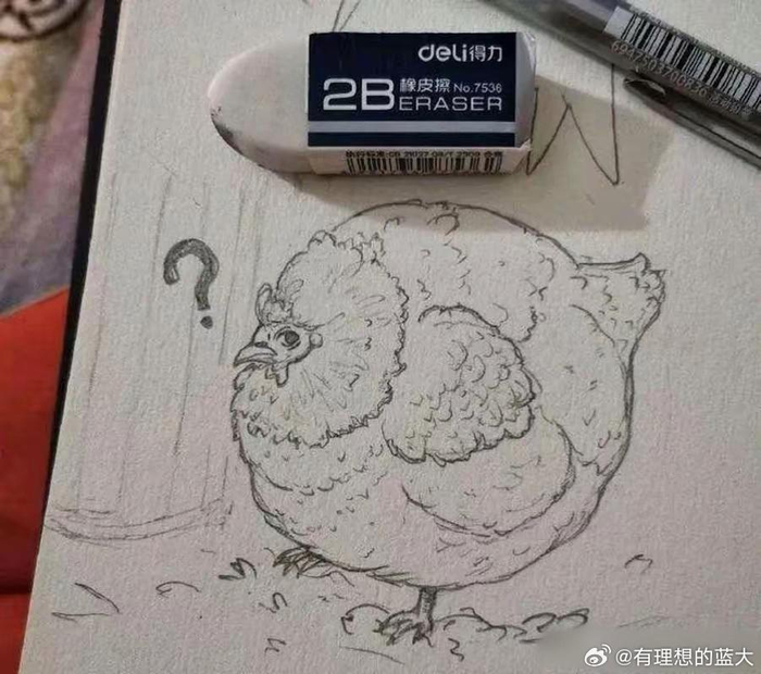 孩子画奶奶家鸡被批太圆不及格，家长晒原图回应