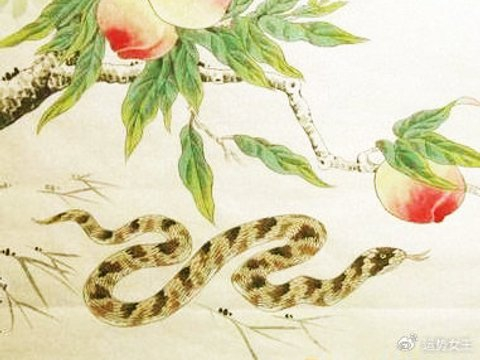 哪4个生肖，春天来到后不再遇到小人，春风带来红火运势