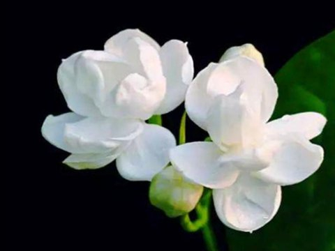 朴实善良，福气加倍，未来几年进步更飞速的四个星座，啥都圆满