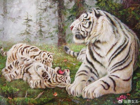 进账在3月风生水起,赚钱多,烦恼少,日子顺利的四个生肖