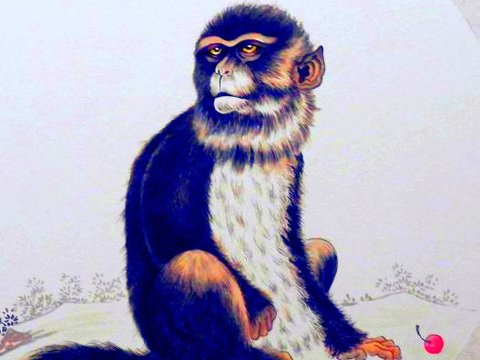 心态和状态都两全其美，上半年生意大好，精神抖擞的生肖