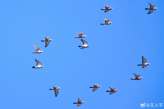 孩子行为偏差成因复杂，非简单归因能解决