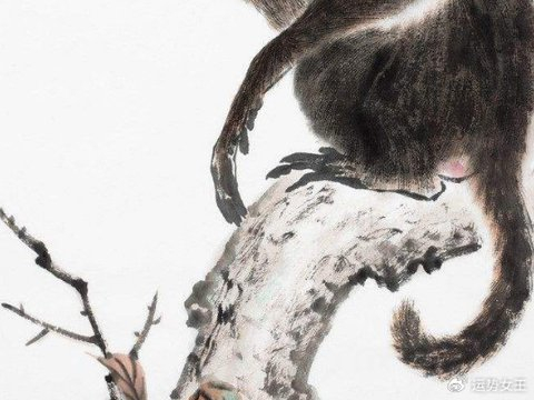 福气和运气达到巅峰,2026年一个月比一个月好运的四个生肖