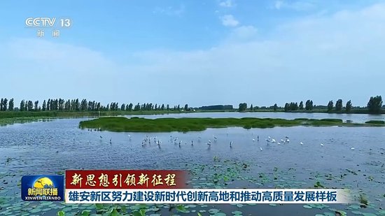 新思想引领新征程丨雄安新区努力建设新时代创新高地和推动高质量发展样板