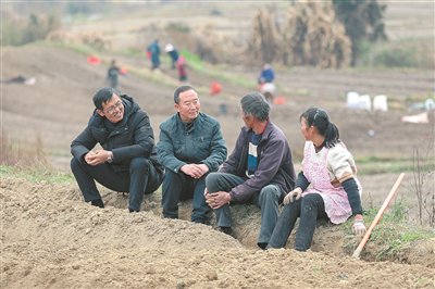 规范农村集体经济合同管理 算清“明白账” 守好“钱袋子”