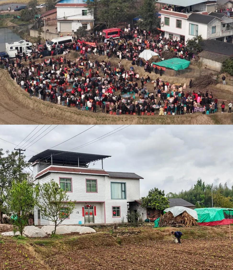 “按猪摇人”走红后，重庆女孩“呆呆”：只想请客吃饭，不想带货赚钱