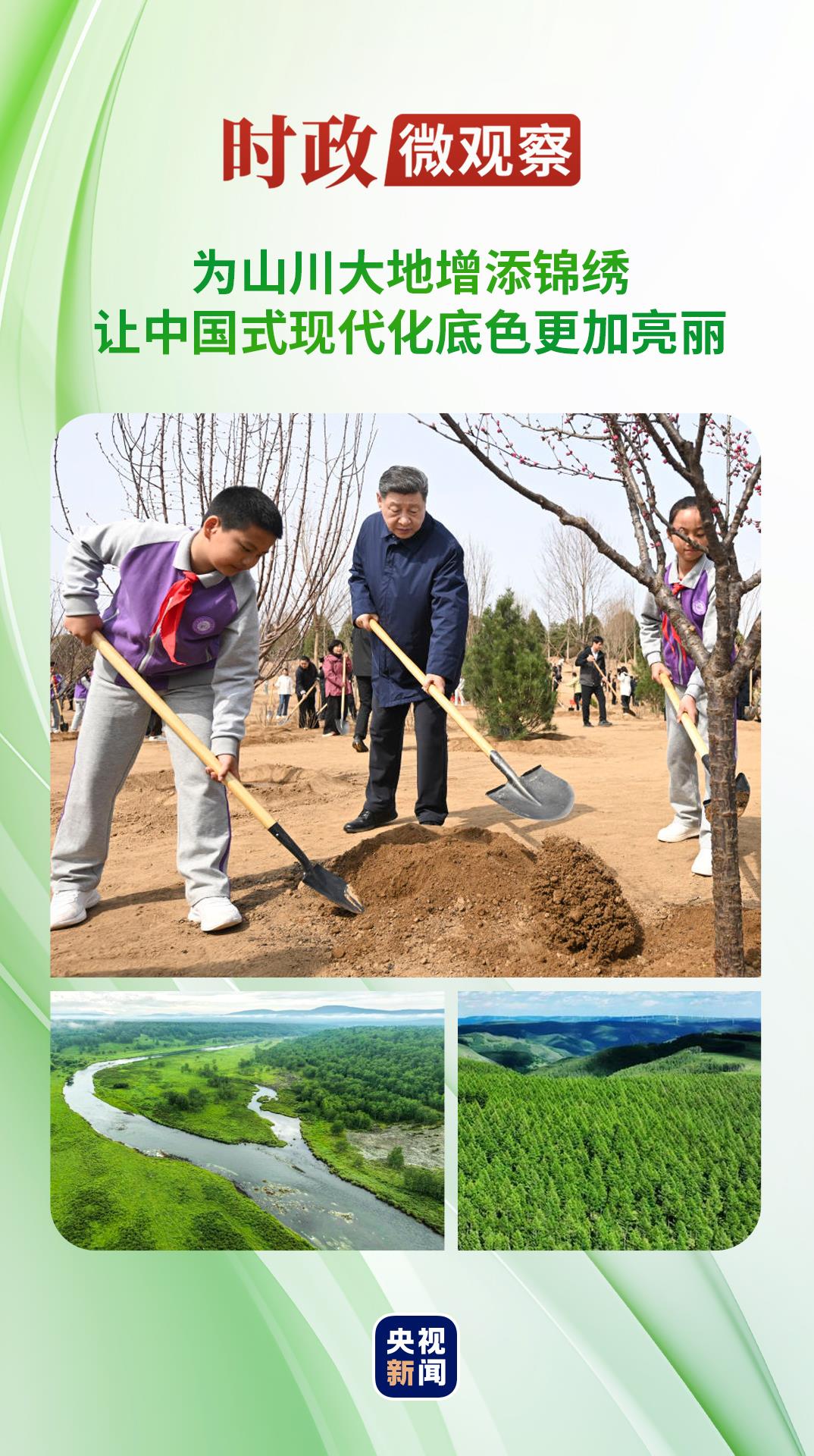 时政微观察丨草木植成，国之富也