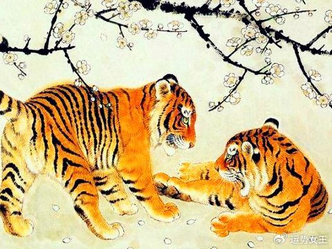 做人足够低调，隐忍之中有乐观，月初开始幸运来到的4个生肖